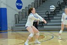 VB vs MHC  Wheaton Women's Volleyball vs Mount Holyoke College. - Photo by Keith Nordstrom : Wheaton, Volleyball, VB